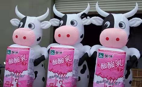 大竹牛奶厂广告气模